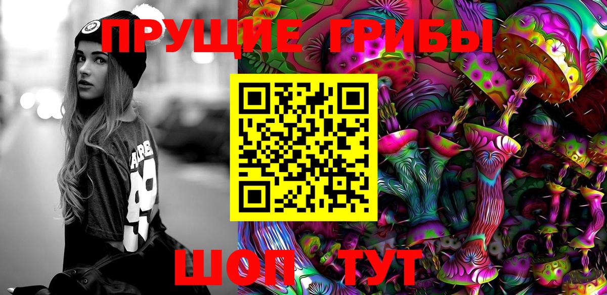 Вязники  Галлюциногенные грибы GOLDEN TEACHER  Псилоцибиновые грибы прущие грибы  Вход с VPN 